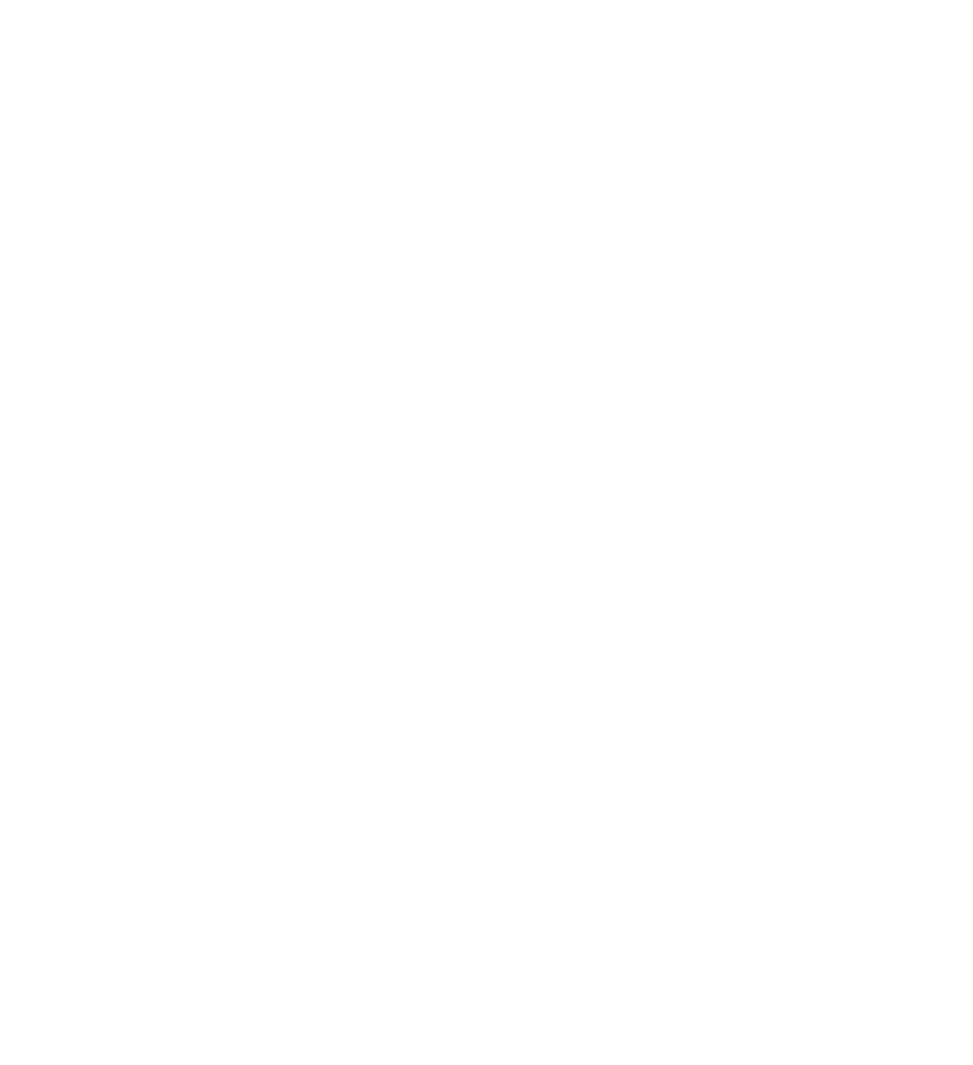 Logo CNCS blanc - 2019